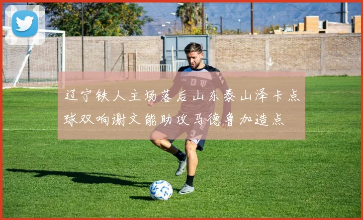 辽宁铁人主场落后山东泰山泽卡点球双响谢文能助攻马德鲁加造点